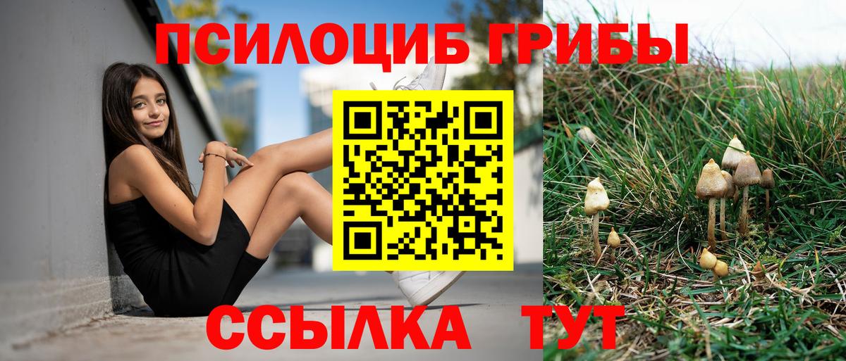 Псилоцибиновые грибы GOLDEN TEACHER Подольск