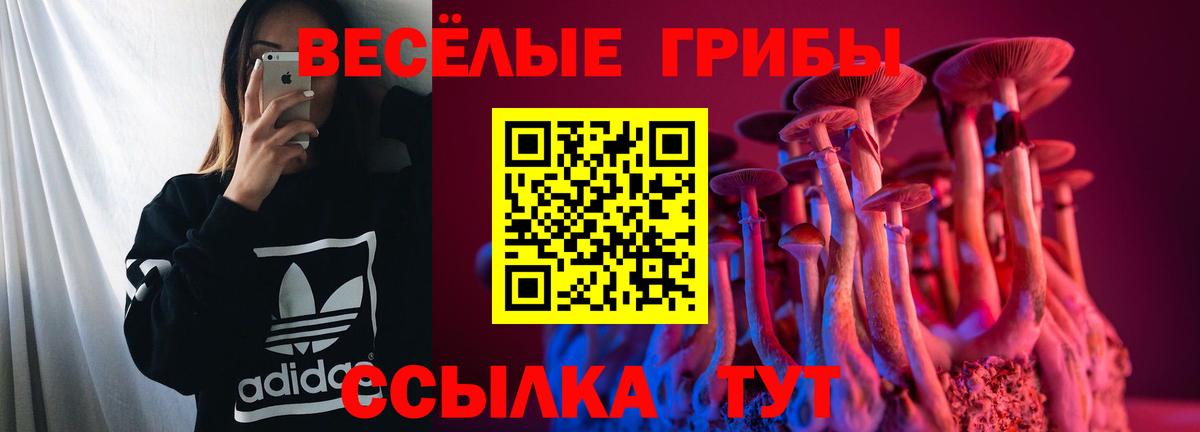 Галлюциногенные грибы Psilocybine cubensis  Вход с VPN  закладка  Подольск 
